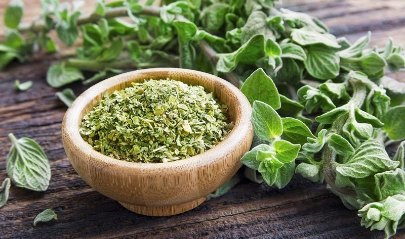 Oregano Powder Oregano Powder