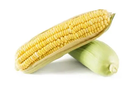 Corn Corn