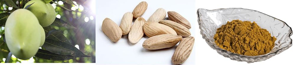 what's african mango seed extract powder