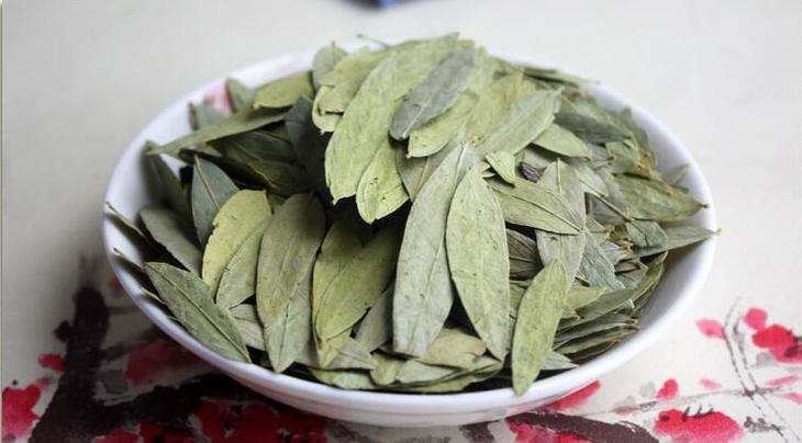 Senna leaf 