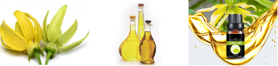 product-935-223