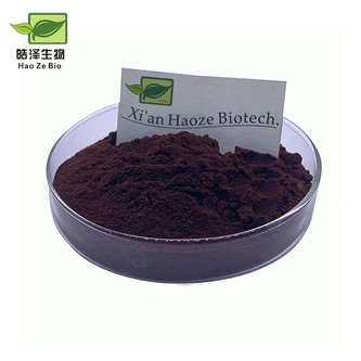 chaga mushroom powder chaga mushroom powder