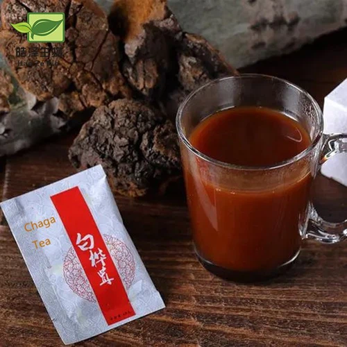 chaga tea chaga tea