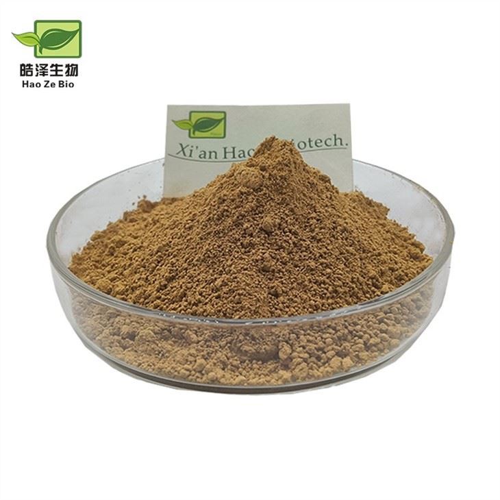 Green Coffee Bean Extract