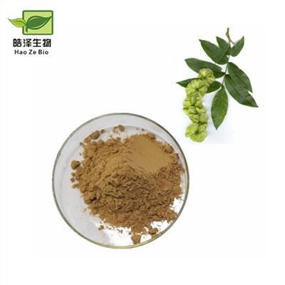 Ekstrakt Cyclocarya Paliurus