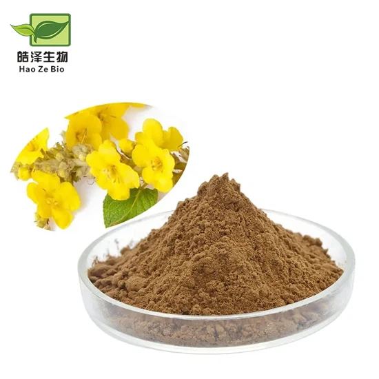 Ekstrakt cvijeta divizme