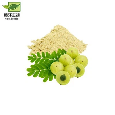 Ekstrakt ploda Emblica Officinalis